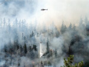 How Canada’s wildfire season will shape reinsurance renewals
