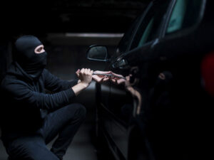 Police, insurers collaborate to dismantle auto theft ring